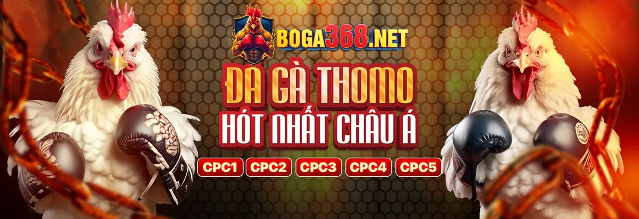 Hình ảnh đại diện về cá cược có trách nhiệm tại 789vip nhà cái
