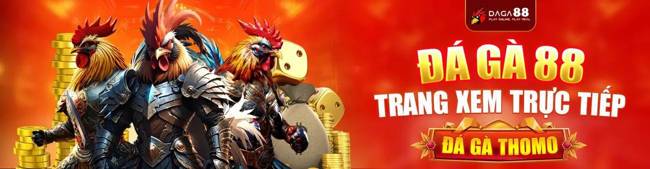 Đấu trường đá gà trực tuyến sôi động tại 789vip nhà cái